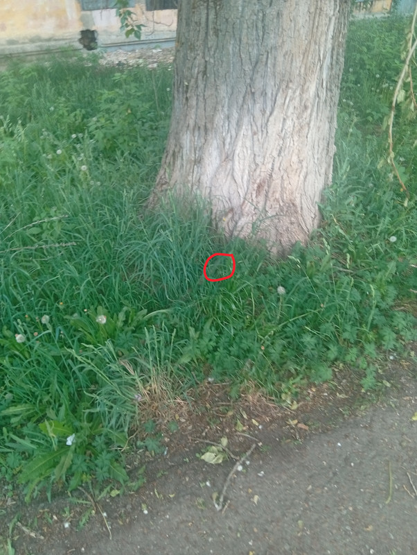 IMG 20260522 200651