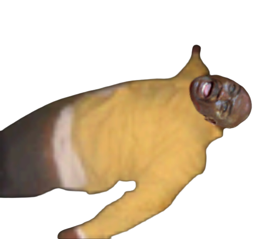 Screenshot-20221116-164736-Cupace-removebg-preview.png