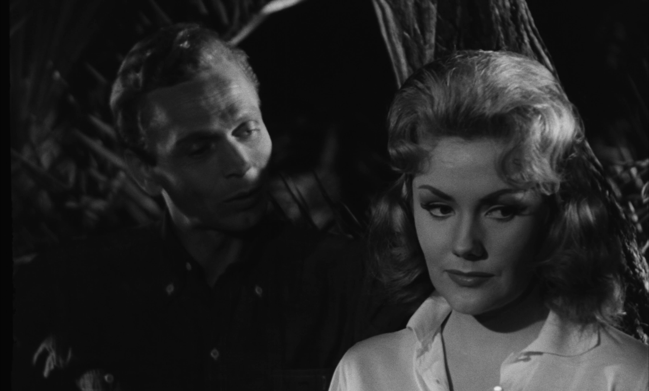 vlcsnap-2023-12-19-22h10m14s340