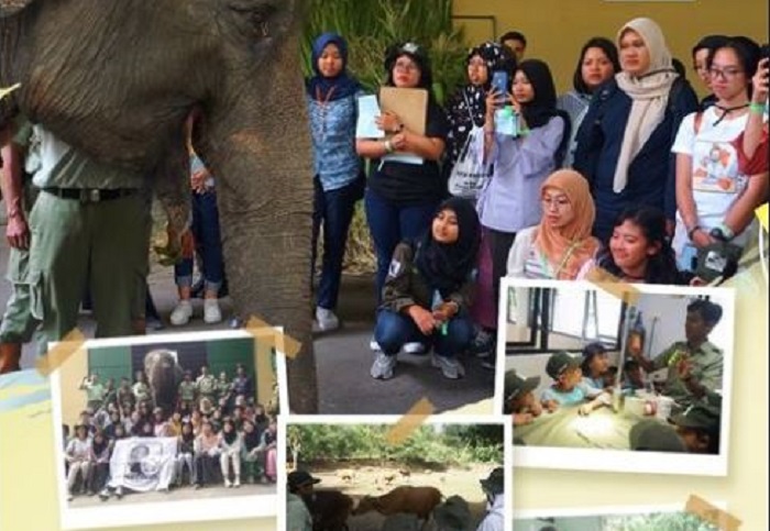 Taman Safari Prigen kembali membuka program 'Safari Behind the Scene'.