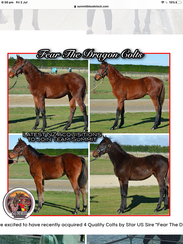 D211EACC-D51B-43A2-9B20-8660BE14F0A1