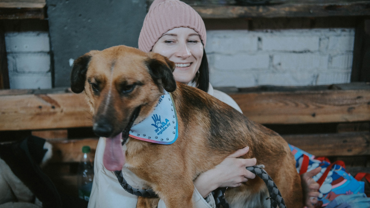 D58F043A-C380-4B88-8D73-20EFCBFEAD3C