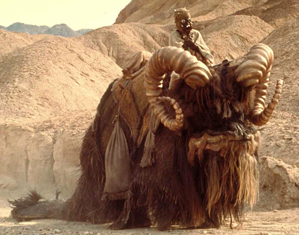 Bantha-ST.jpg