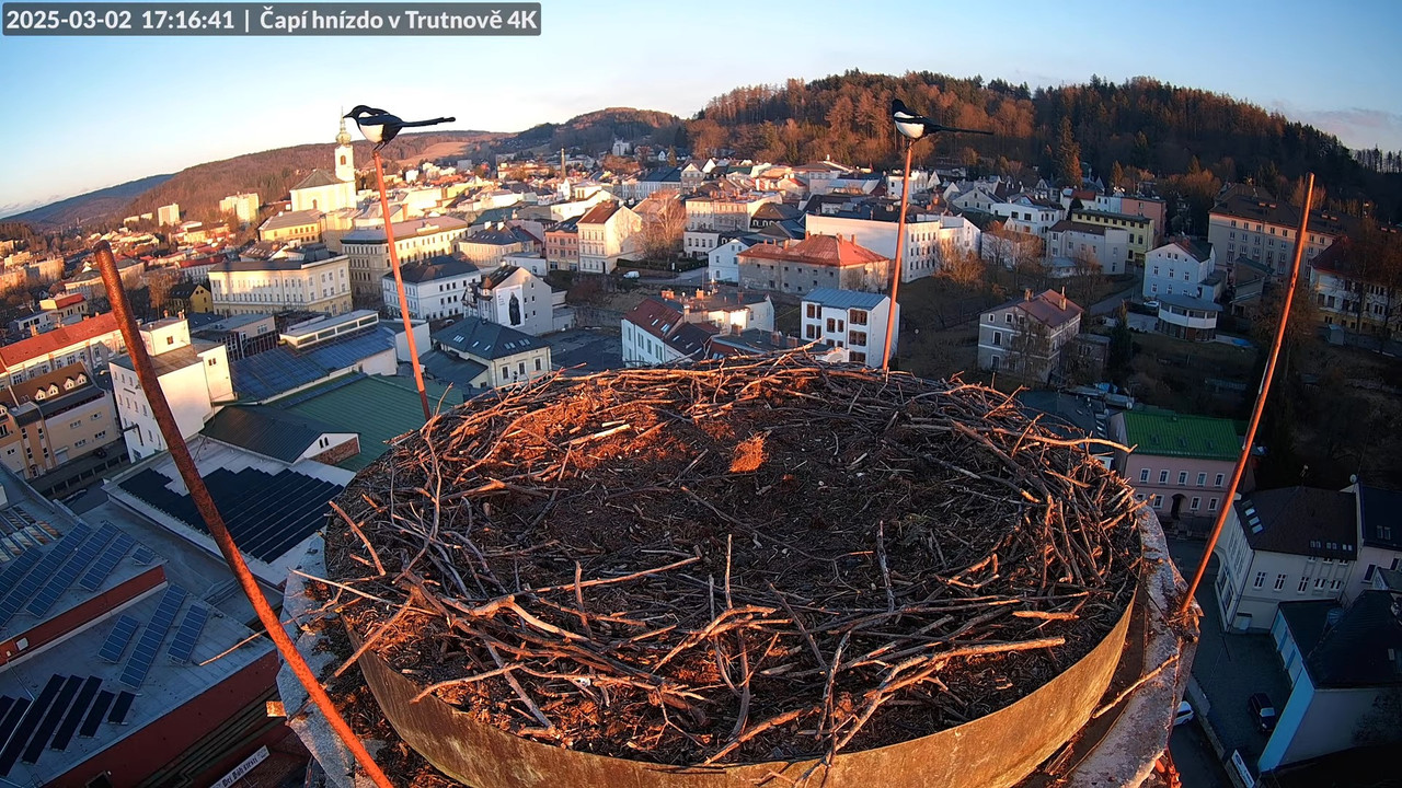 Tiešraidē no stārķa ligzdas uz alus darītavas skursteņa Trutnovā 11-49-27 screenshot