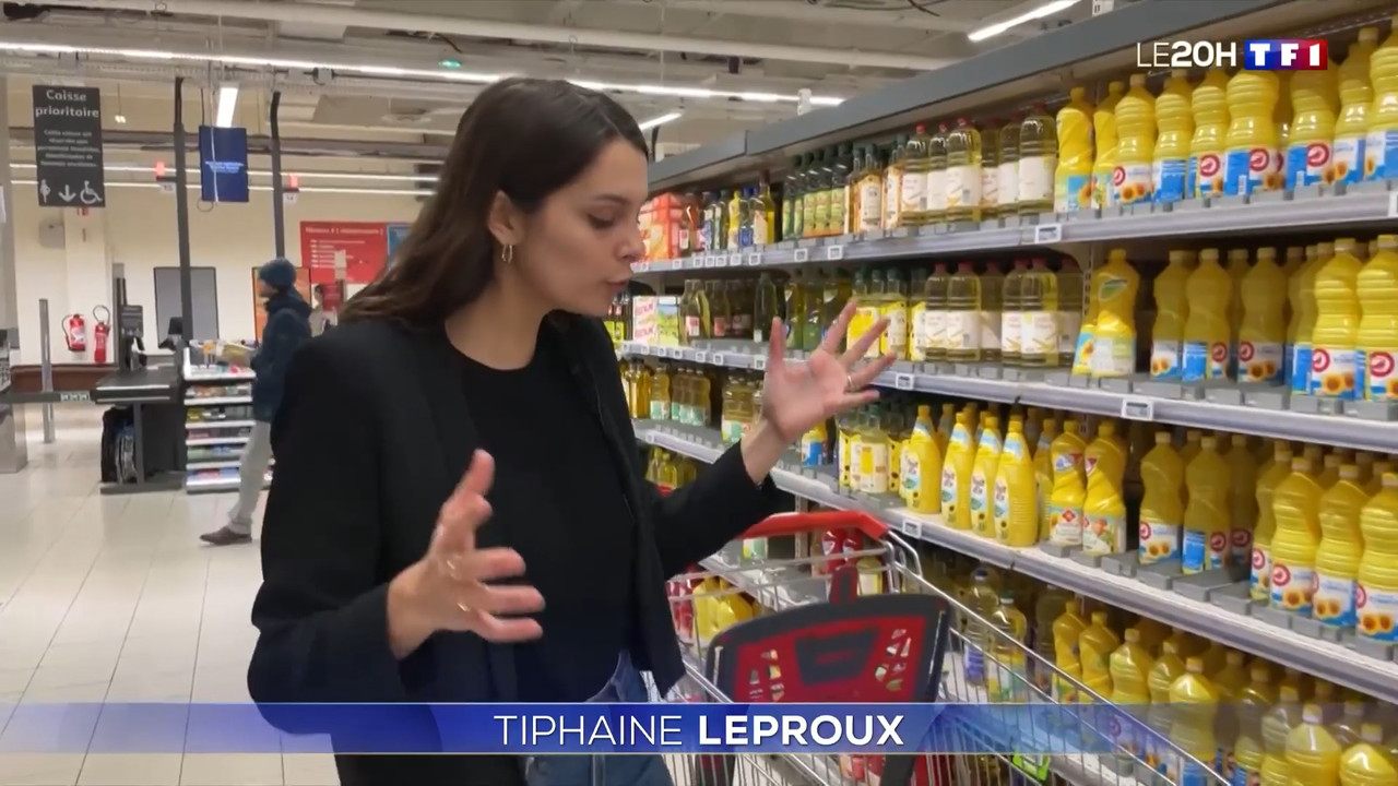 2023-01-11_20_00_TF1_Le-20h.mp4_snapshot_00.29.29.684