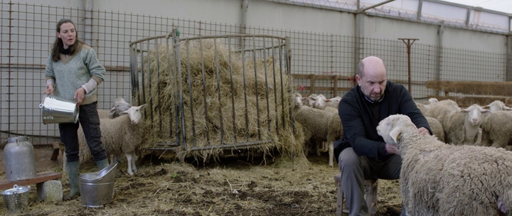 vlcsnap-2024-08-30-16h21m35s267