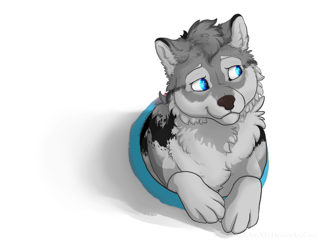 Hi-Taima-BG.png