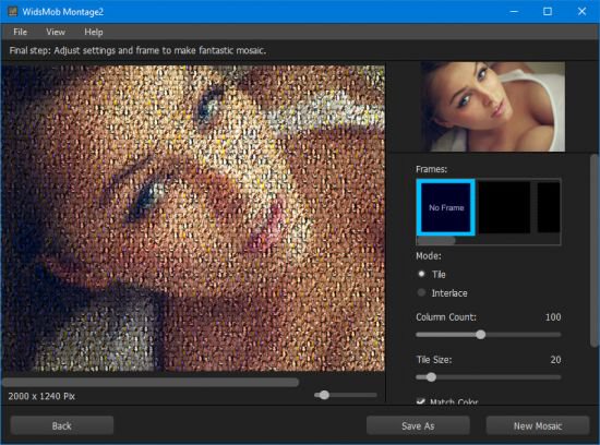 WidsMob Montage 2.5.17 (x64) Portable WidsMob Montage 2.5.17 (x64) Portable