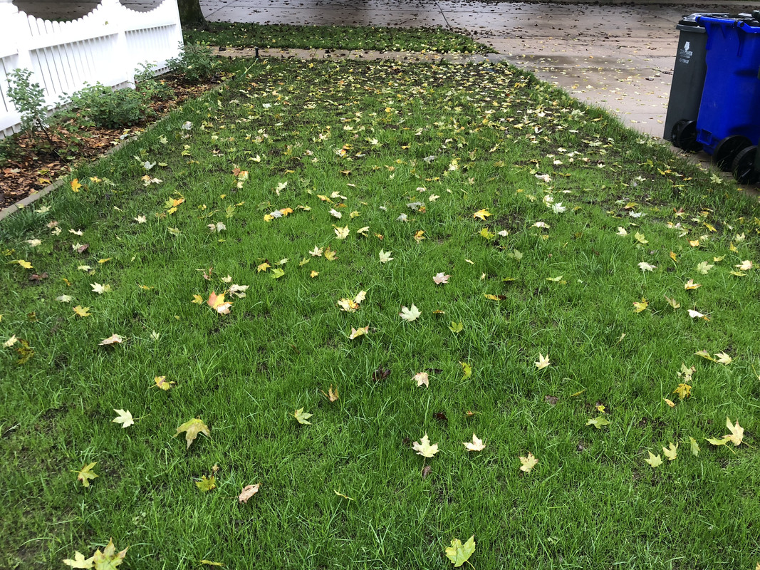 886A6599-902D-4650-A3C2-313FE00F6987