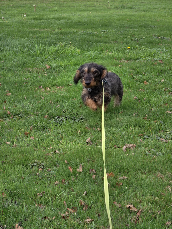 [Image: IMG-20251112-WA0002.jpg]