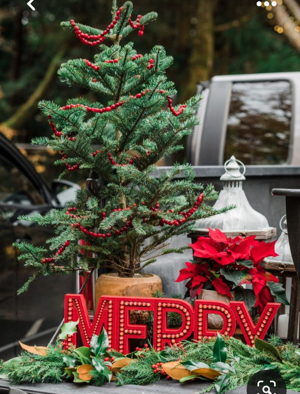 Screenshot_20230616_235027_Pinterest