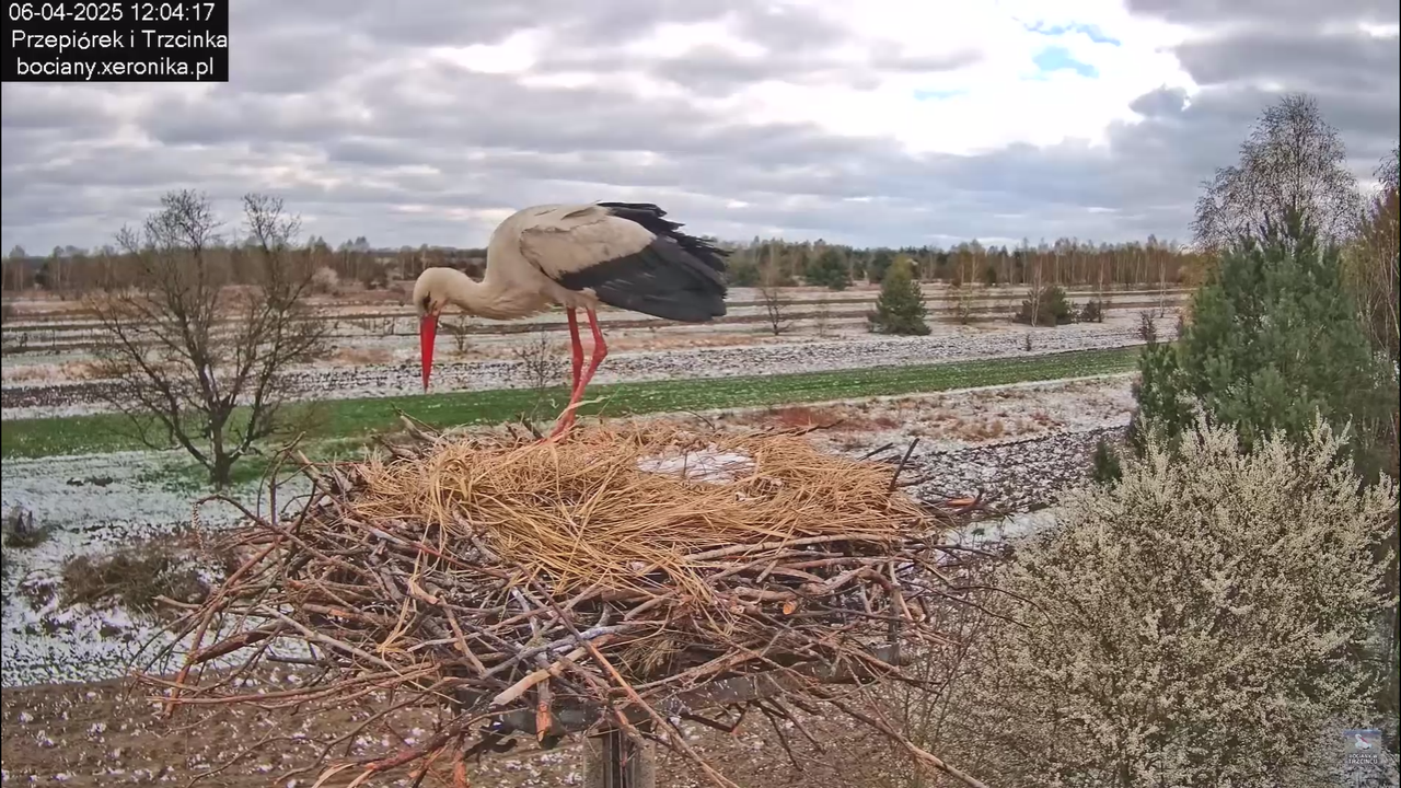 06042025minutazbocianem_18