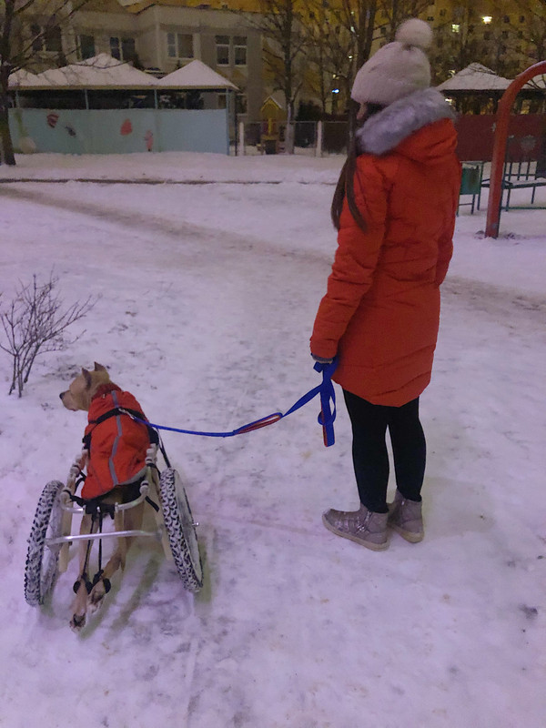 D49610E2-C918-4845-8CB9-5B0AE950C8D9