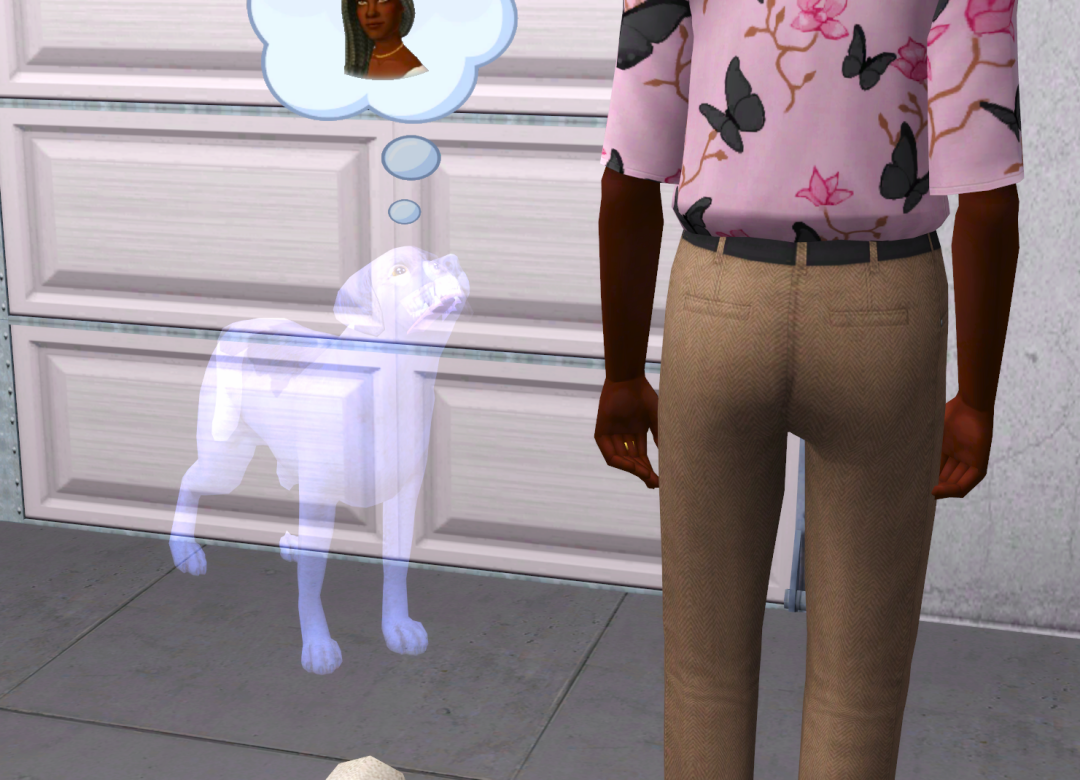 Sims2-EP9-RPC-2023-10-10-18-17-37-54