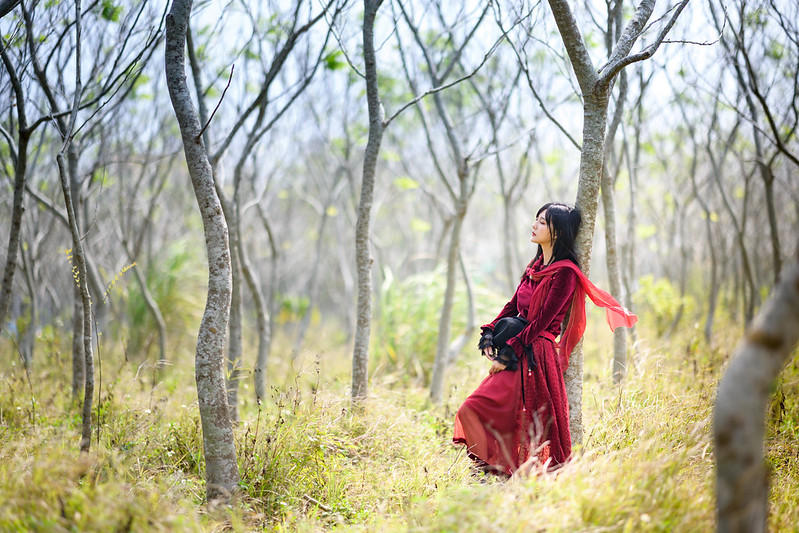 redasiangirlwoods.jpg