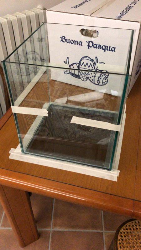 726C98AB-4642-47EF-80F5-85BF1FB7B594