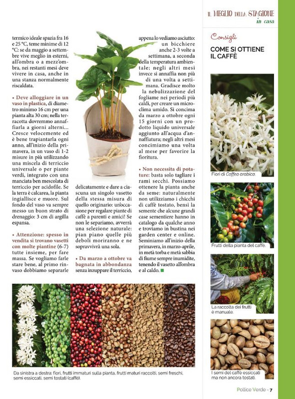 Pol Ver Apr-Mag 2022 (2)