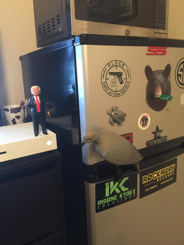 386B1932-275E-4AB3-8E0C-C8FCF8DCFFB2