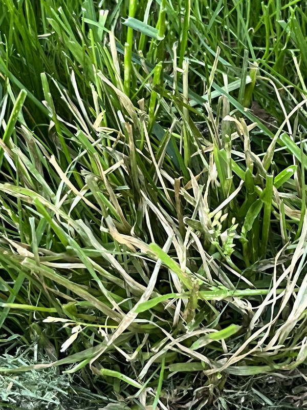 66DD17C7-1A8A-44B5-960D-FD93FC2E46B9