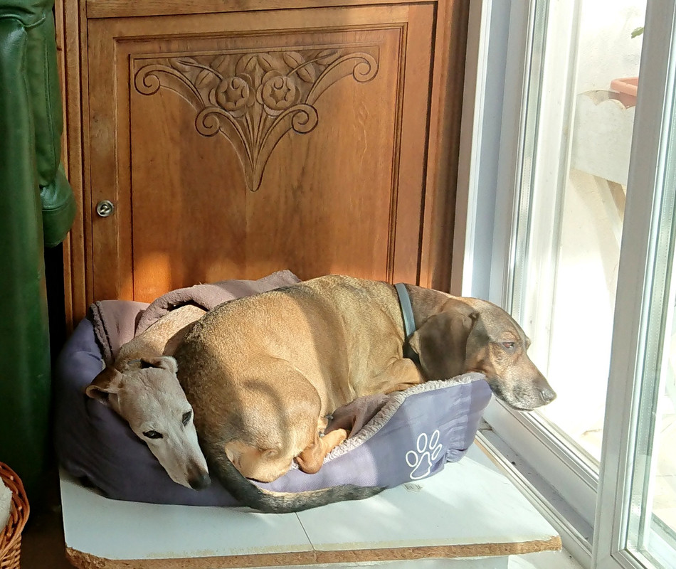 [Image: 20221012-123941.jpg]