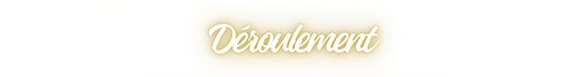 https://i.postimg.cc/Dy3sq6Kz/JI3-Deroulement.png