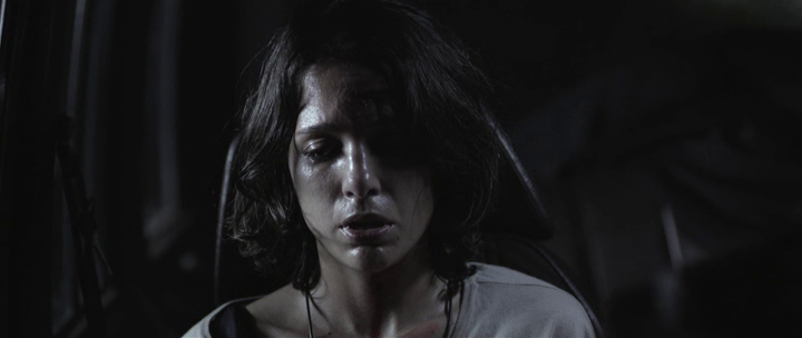 vlcsnap-2020-11-11-15h56m41s744