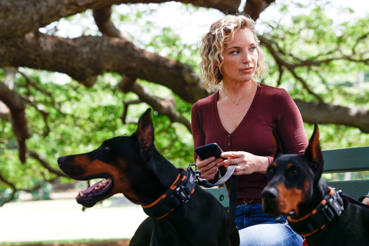 FC721F9C-8EF6-4071-804B-908CA6AF3AE9