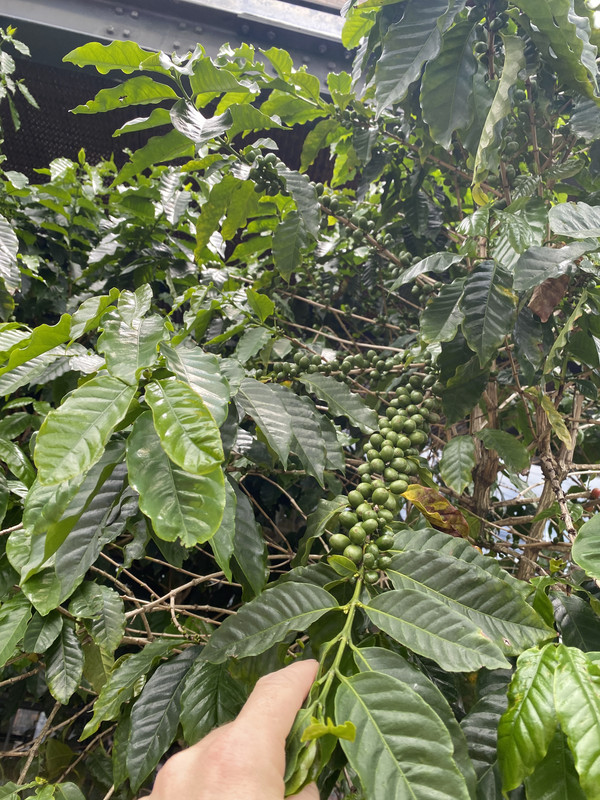 BF149B23-7567-41C2-862B-CF3A935FEF1E