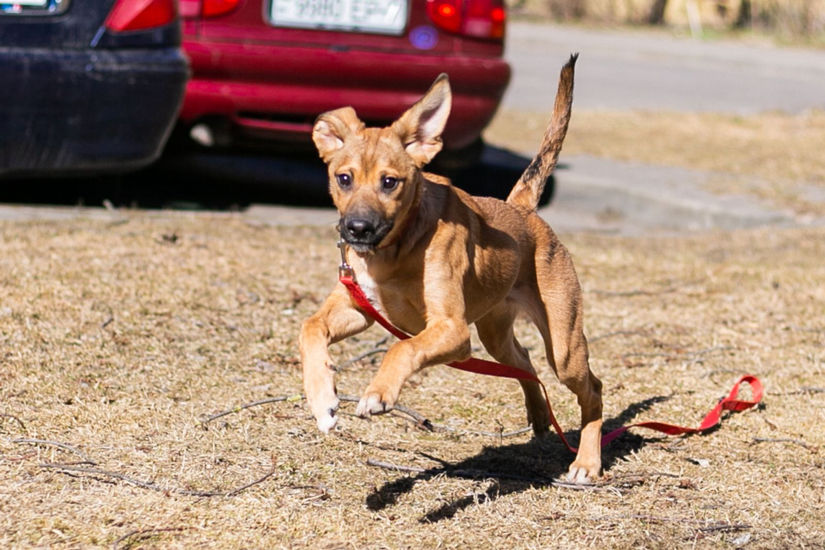 IMG-0991307b3c96b2eb248977ada4a304c1-V