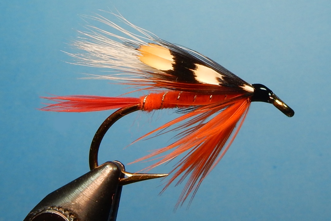 Orange-Shrimp-Shewey-1080.jpg