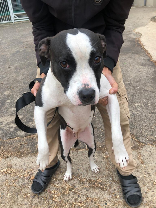 WhatsApp Image 2022-09-07 at 13.18.22 (2)