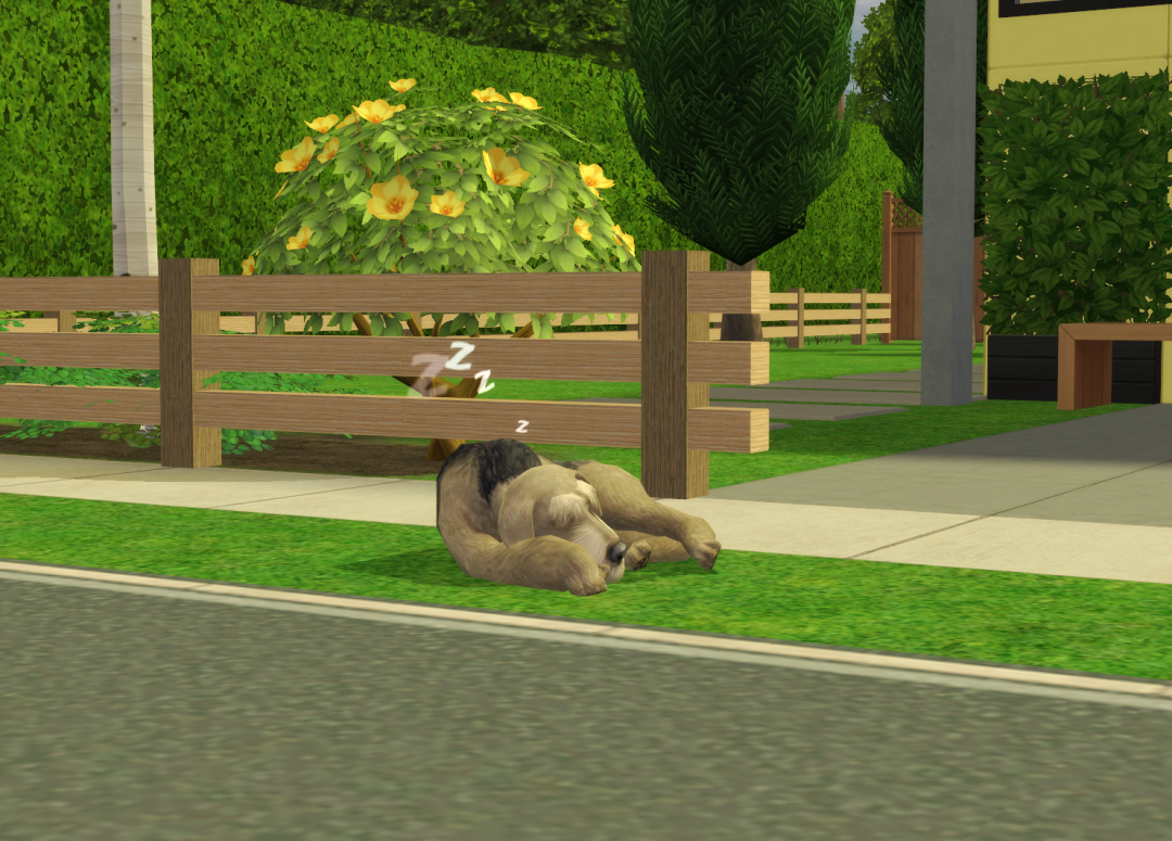 Sims2-EP9-RPC-2023-09-03-13-22-05-81