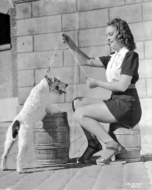 donna_reed_b36b