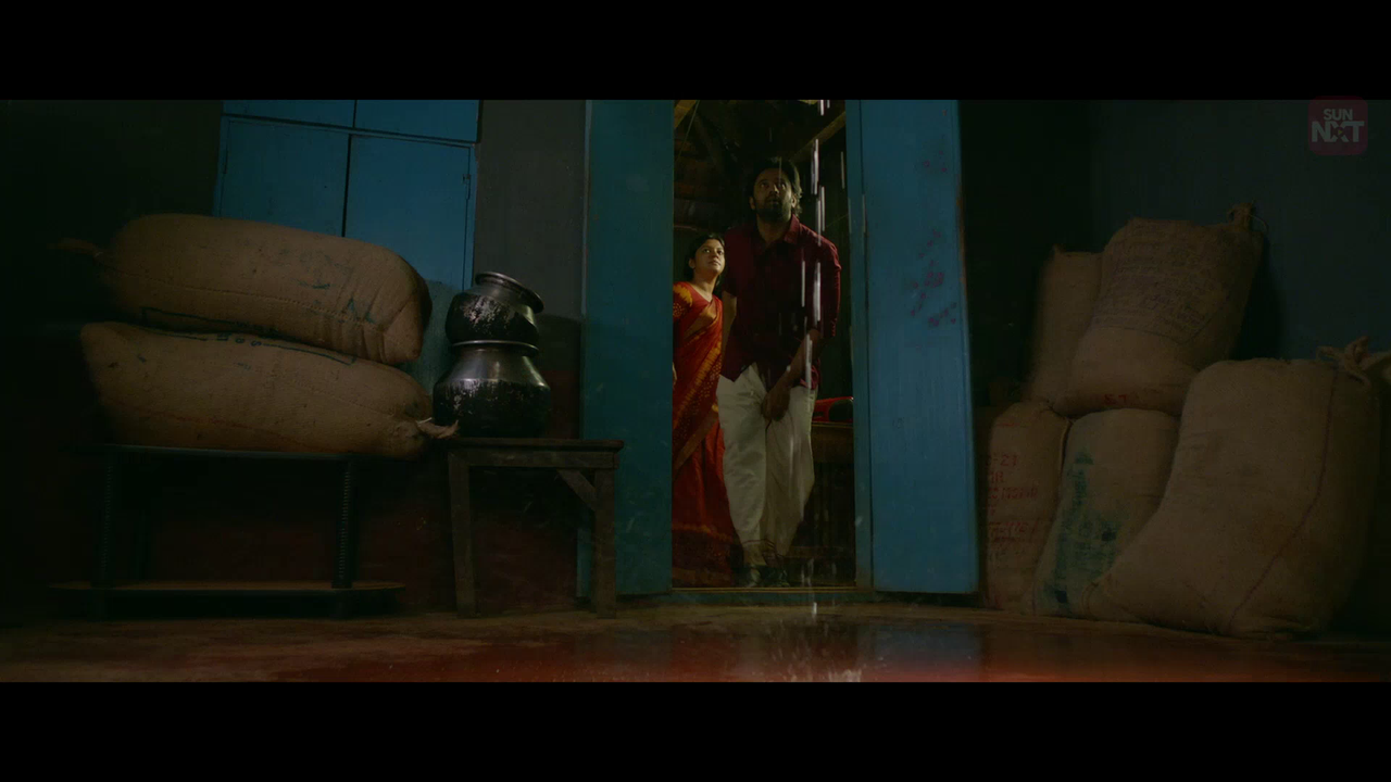 vlcsnap 2026 02 10 19h42m21s100