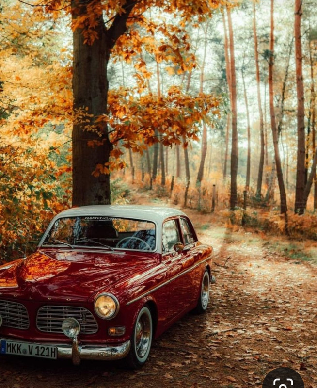 Screenshot_20240404_220324_Pinterest