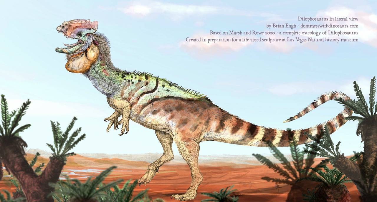 4bd62564de93725b2a237a576d76d9f5