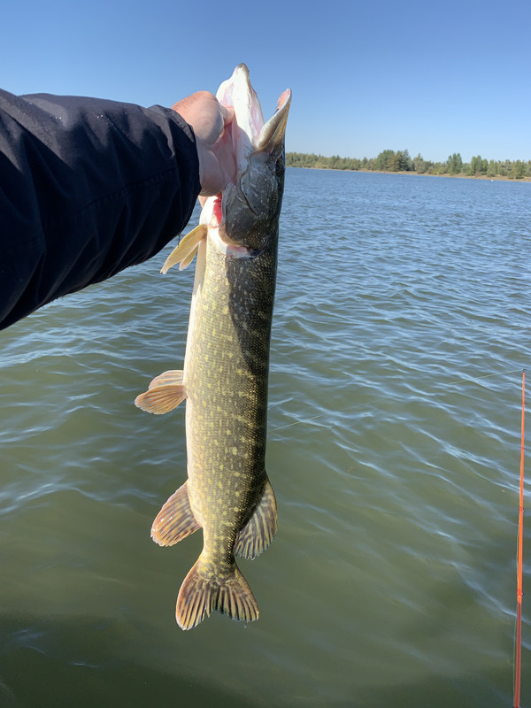 0B9BA2D7-39A1-4AFA-BB8E-20746368A77B