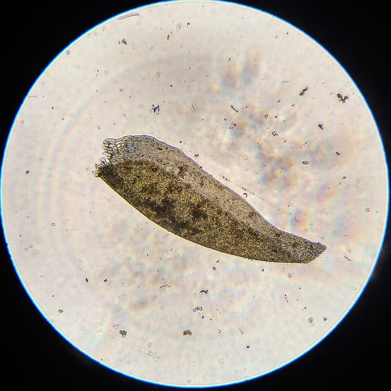 IMG 20250616 220607 HDR