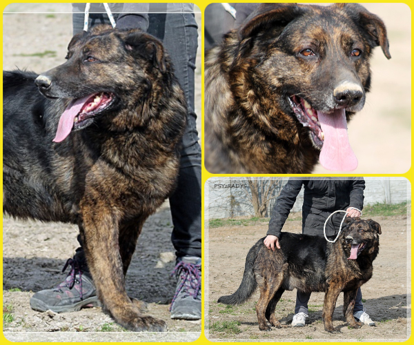 BeFunky-collage (18)