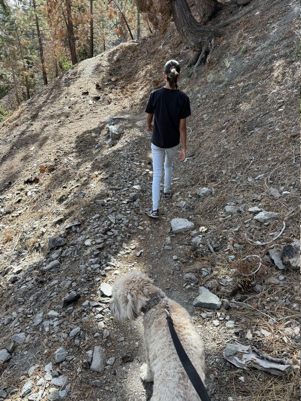 IMG-5771.jpg