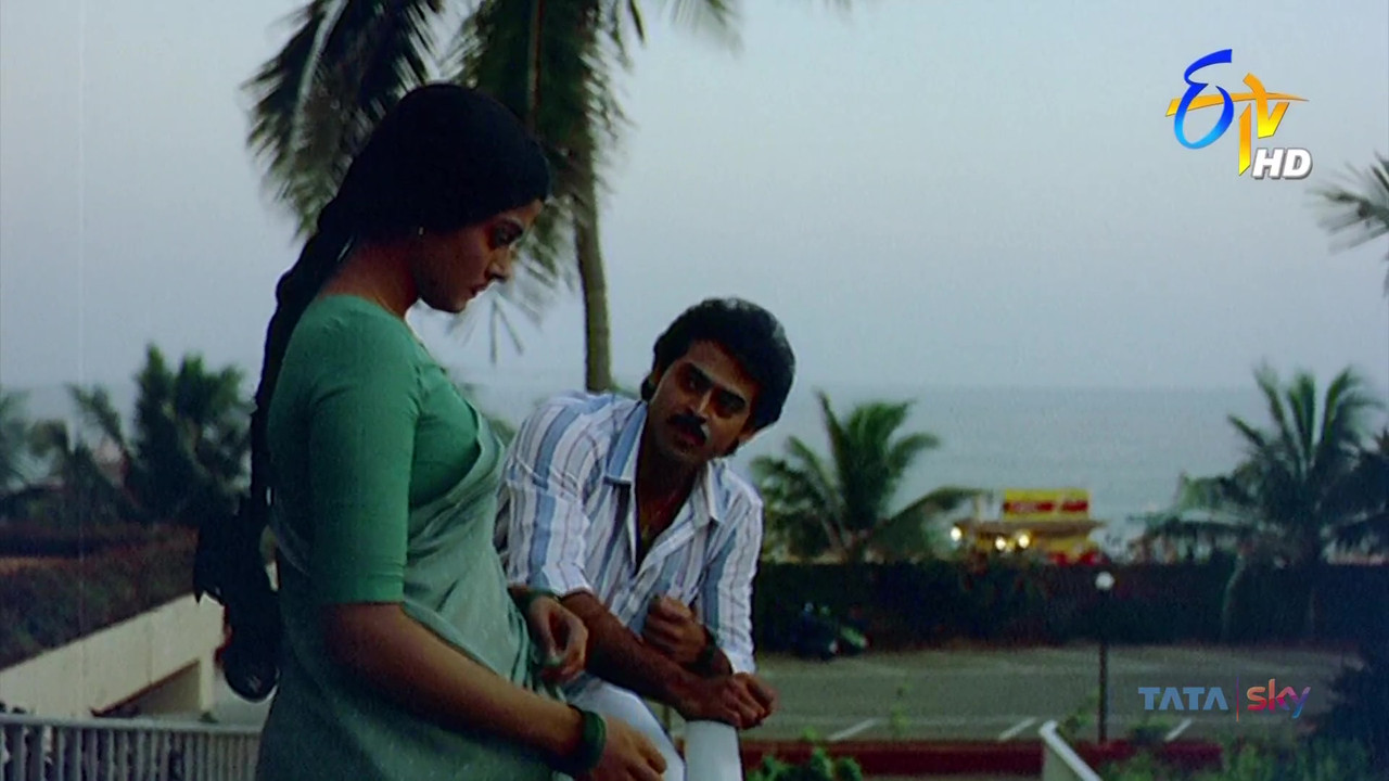 vlcsnap-2021-04-22-15h24m24s834