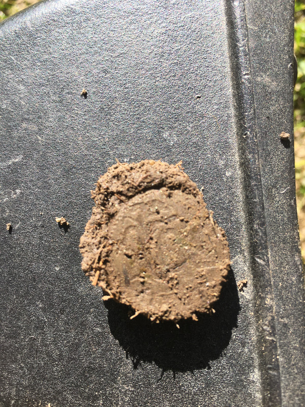 9E54D1E8-9E23-4075-98B1-2CE195E2ABF6