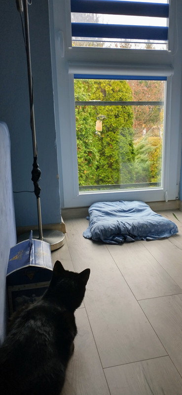 IMG 20251116 085312138 HDR 2