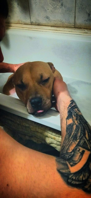 BE03CA9B-9DE4-424E-822C-867D5A683199