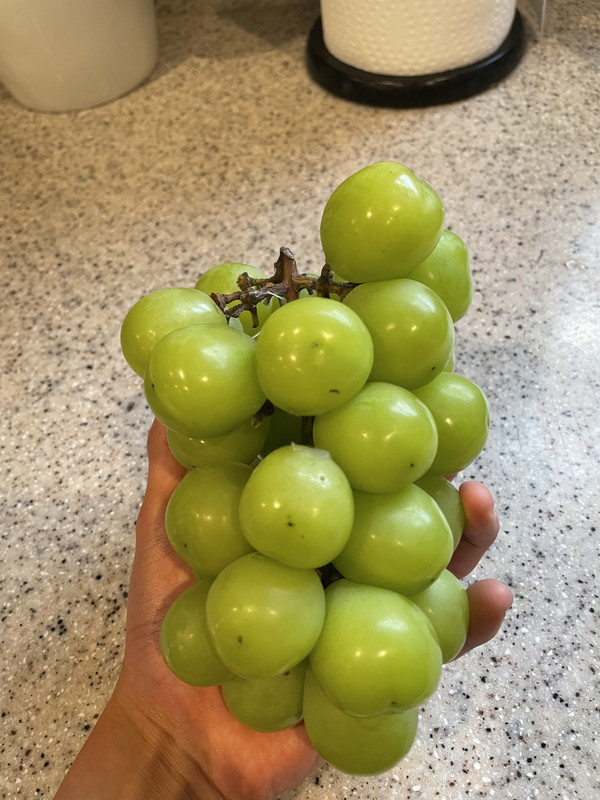 81FAD0B6-3A5B-4C18-86CE-9713A00A1089