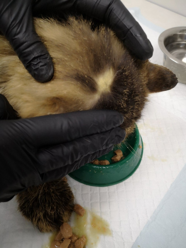 E8E21198-C52A-4CF4-92BD-FB1673333407