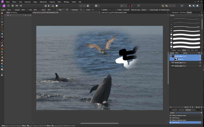 Capture d’écran (3)