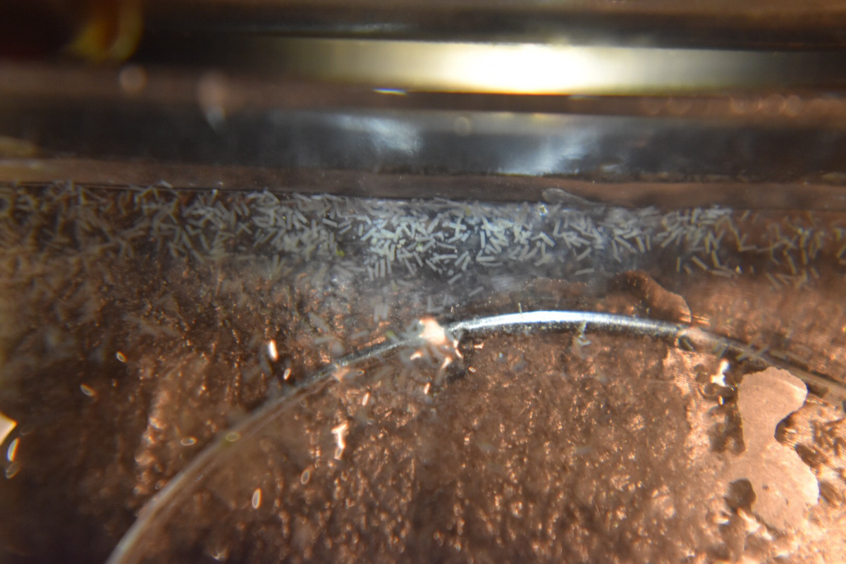 FFBF62AB-6B58-430F-B815-DB13059CC84D