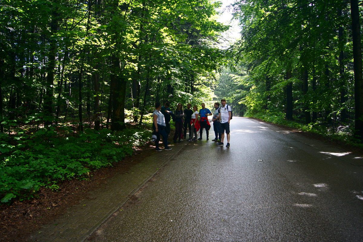 02.06 - ZdjZlotXVIIPsychologPełnaJakość00023 (Psycholog)