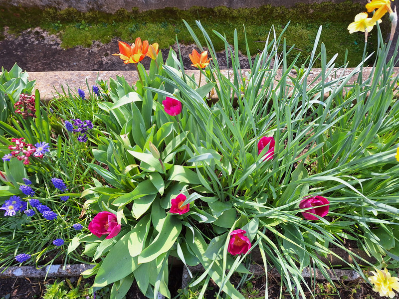 [Image: 20240322-122748.jpg]